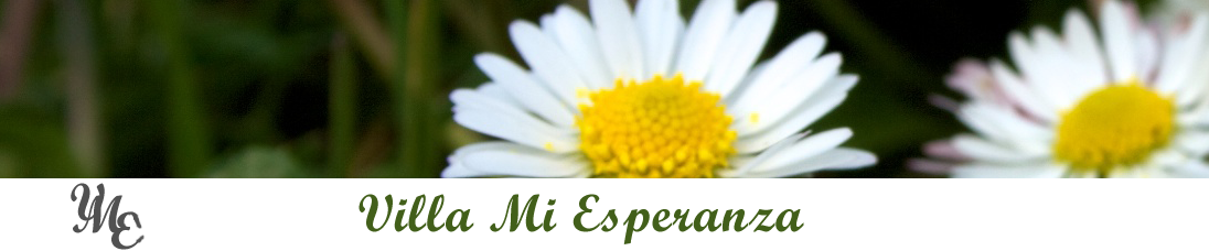 Villa Mi Esperanza