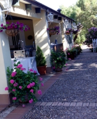 Gráfico de Bienvenida